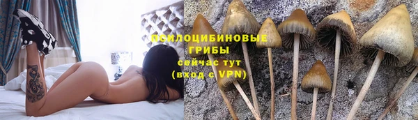 спайс Алексин